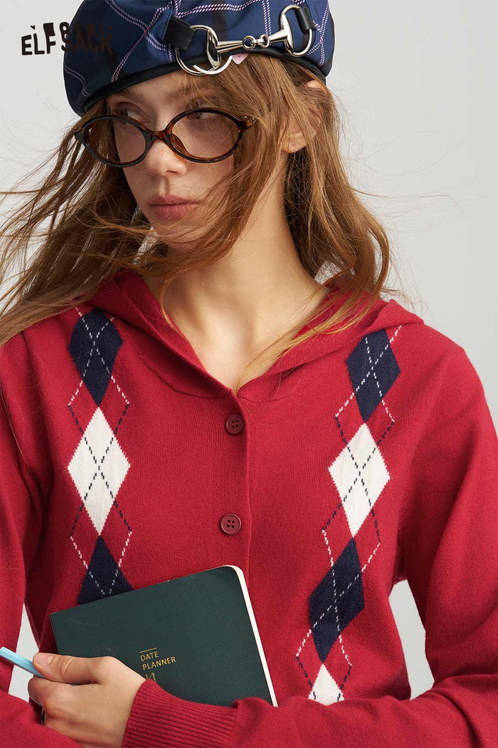 Argyle Pattern Knit Sweater