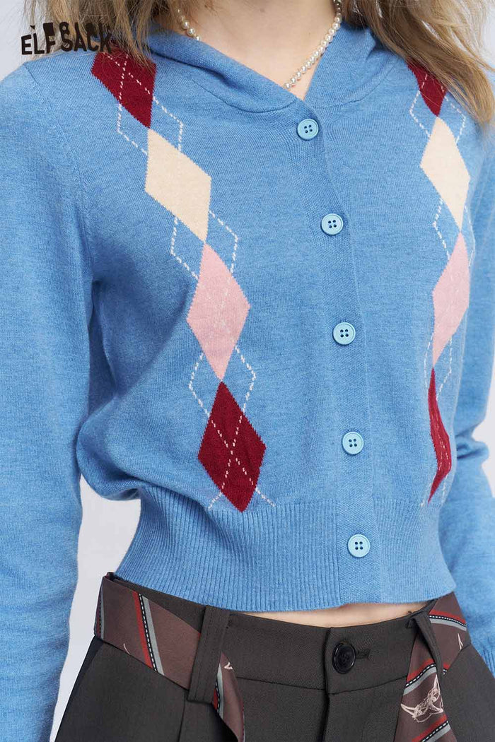 Argyle Pattern Knit Sweater