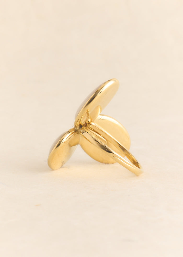 Bague Toka