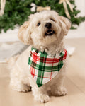 Christmas Plaid - Pet Bandana Holiday Lounge - Sugar Bee Clothing