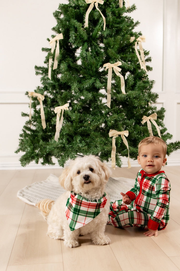 Christmas Plaid - Pet Bandana Holiday Lounge - Sugar Bee Clothing