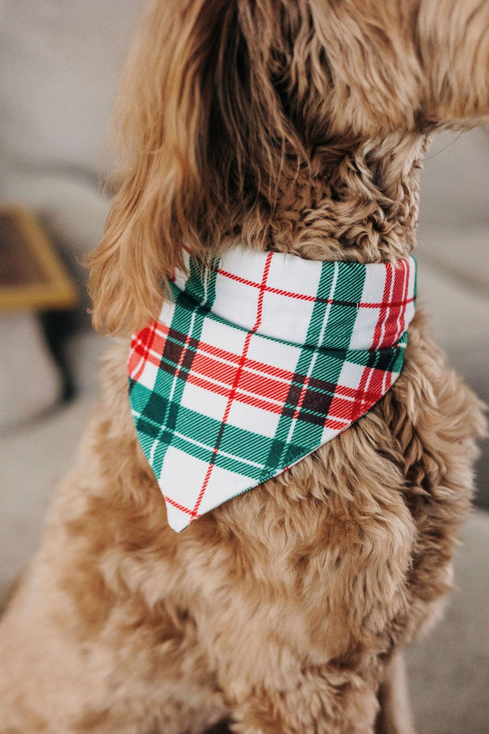 Christmas Plaid - Pet Bandana Holiday Lounge - Sugar Bee Clothing