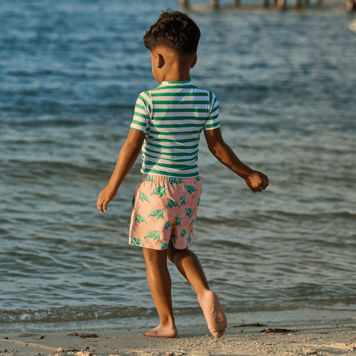 Compression Swim Shorts - Sea Turtles - Sugar Bee Clothing