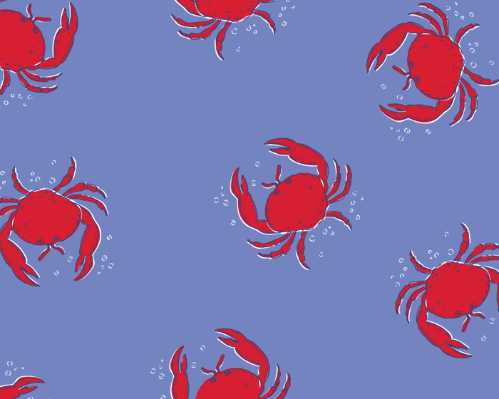 Compression Swim Shorts - Coastal Crab - Sugar Bee Clothing