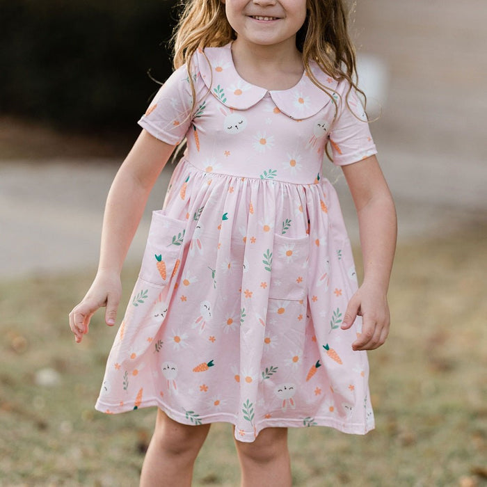 Twirl Dress - Pink Carrots - Sugar Bee Clothing
