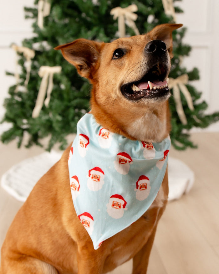 Vintage Santa - Pet Bandana Holiday Lounge - Sugar Bee Clothing