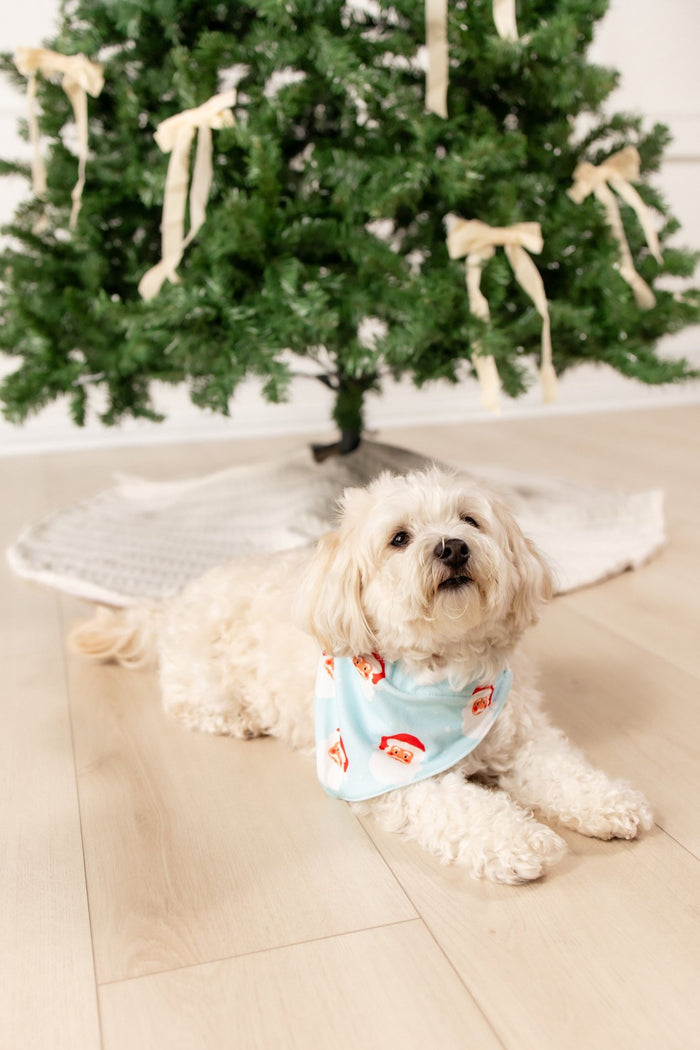 Vintage Santa - Pet Bandana Holiday Lounge - Sugar Bee Clothing