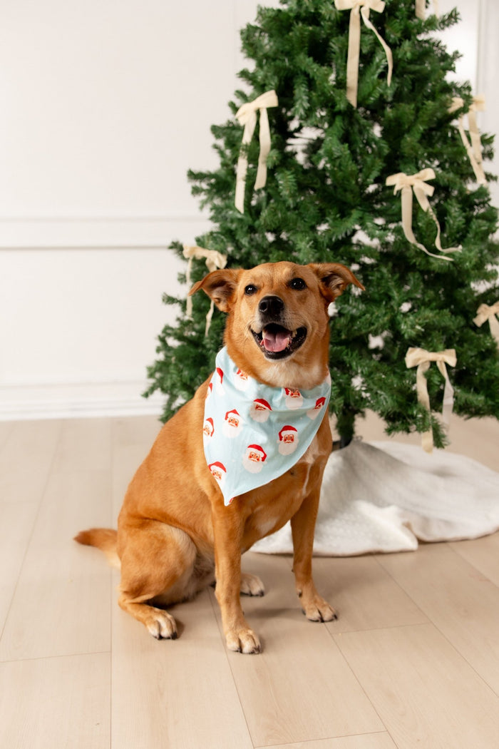Vintage Santa - Pet Bandana Holiday Lounge - Sugar Bee Clothing