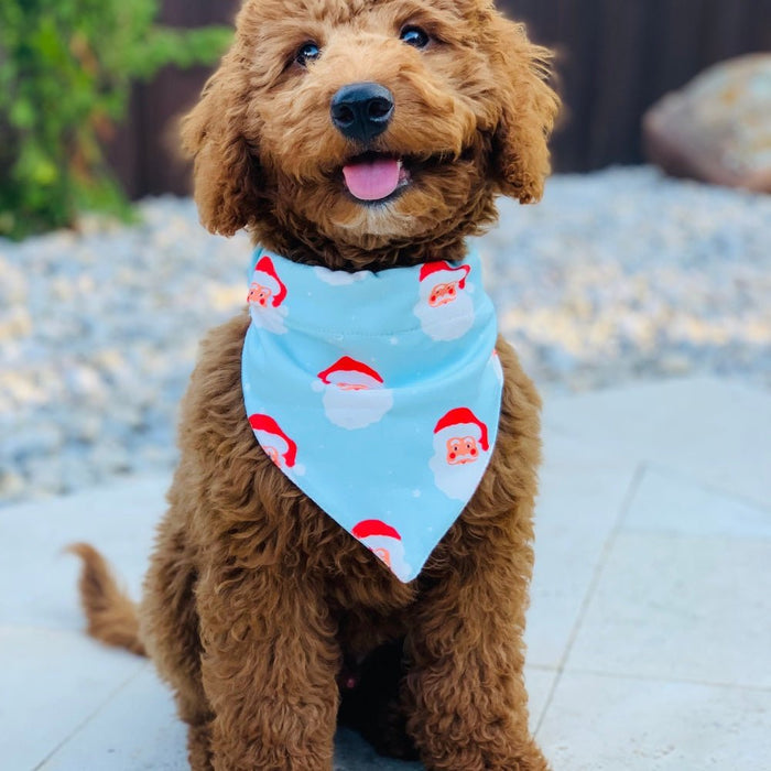 Vintage Santa - Pet Bandana Holiday Lounge - Sugar Bee Clothing